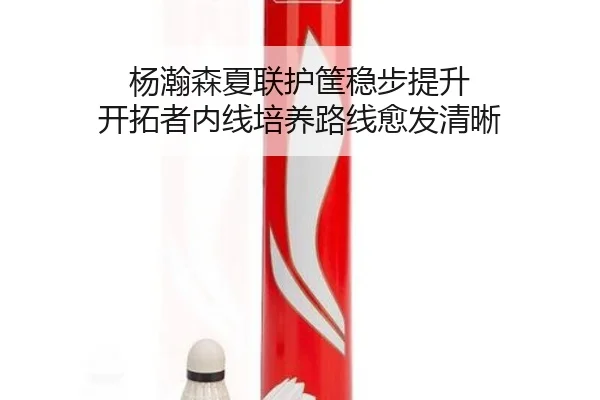 杨瀚森夏联护筐稳步提升 开拓者内线培养路线愈发清晰